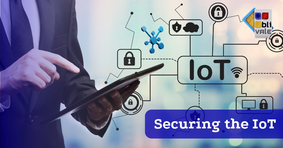 blivale_image_60_securing the iot BLIVALE Blog: Guides and tips for worry-free travel - Results from #300